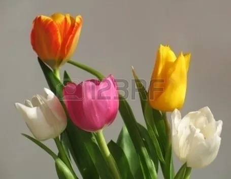 bouquet per aziendali