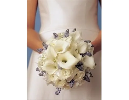 bouquet per chiedere scusa