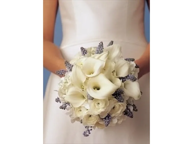 bouquet per chiedere scusa