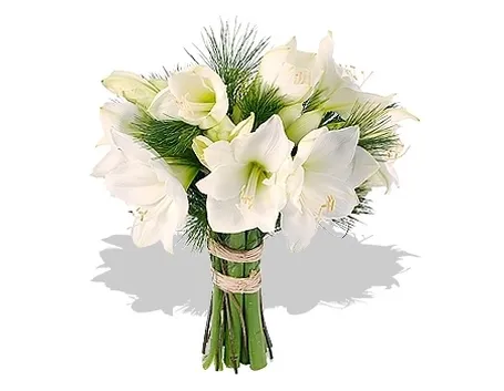 bouquet per laurea e diploma