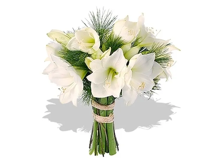 bouquet per laurea e diploma