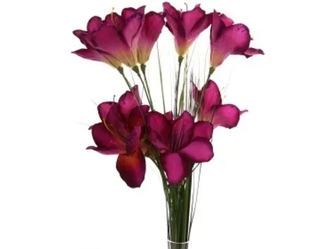 bouquet per natale buon anno