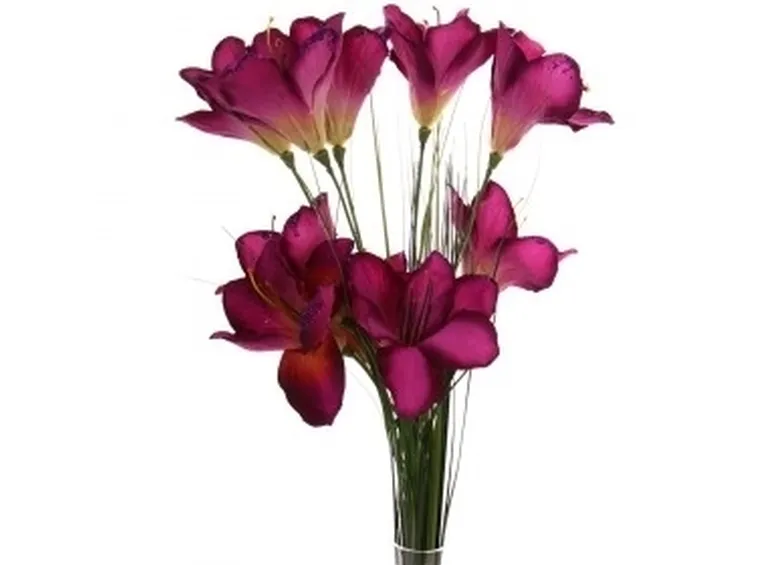 bouquet per natale buon anno