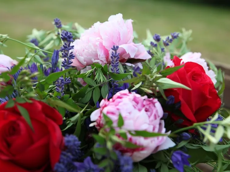 Regalare Fiori-2