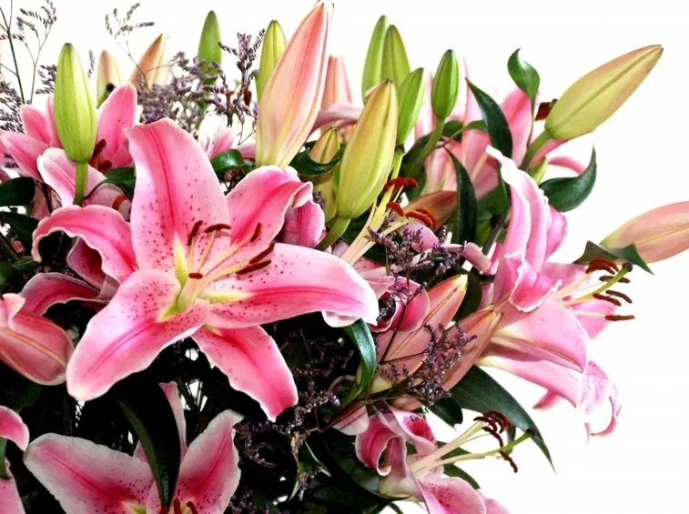 mazzo di fiori-3