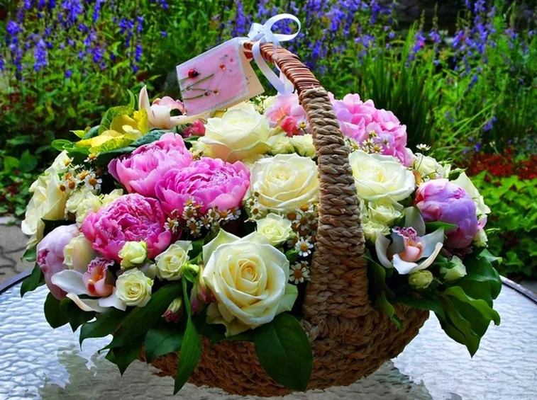 significato dei fiori-8