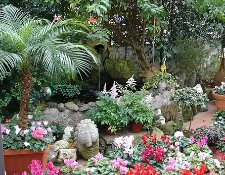 consegna fiori per fiocco azzurro-1