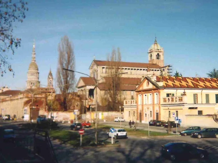 fiori a domicilio Novara