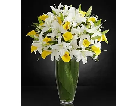 fiori Afragola