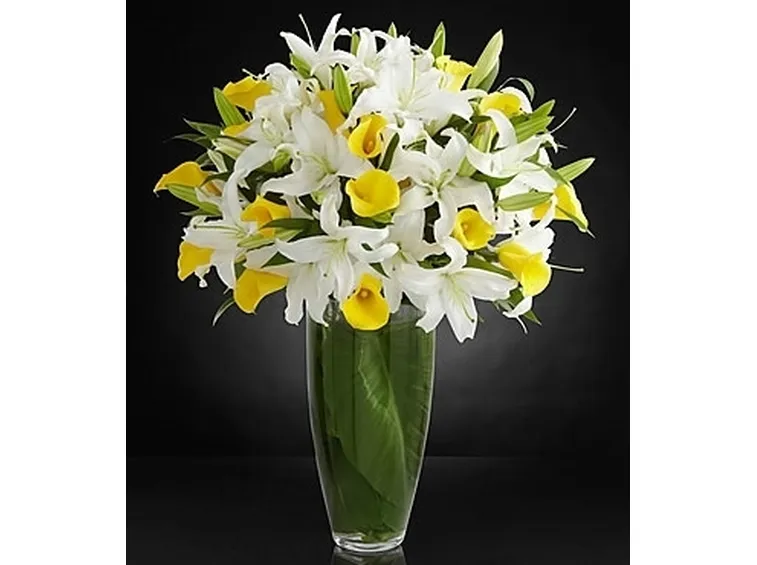 fiori Afragola
