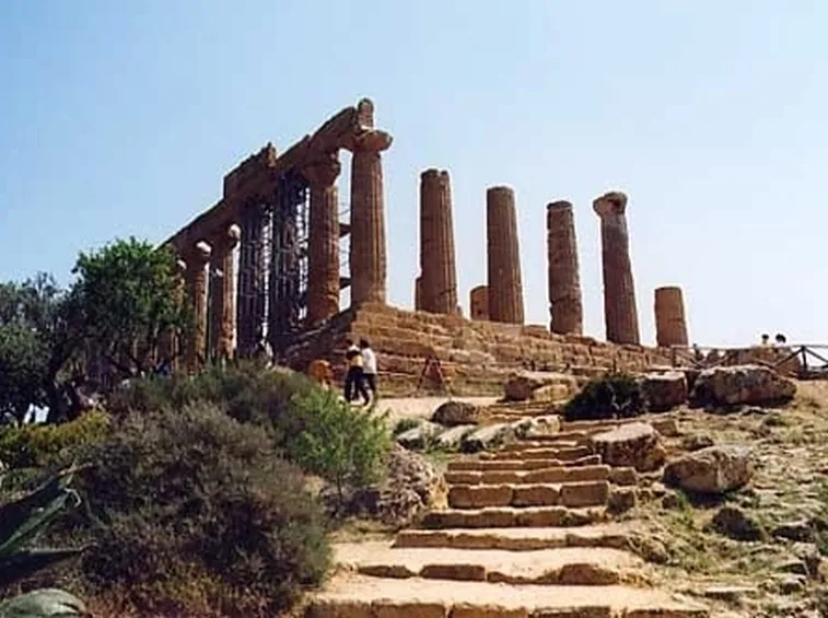 fiori Agrigento