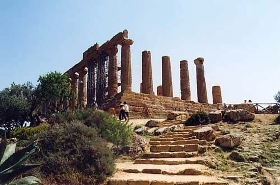 fiori Agrigento