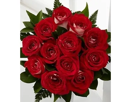 fiori Benevento