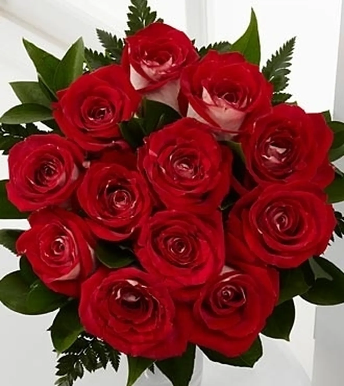 fiori Benevento