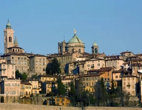 fiori Bergamo