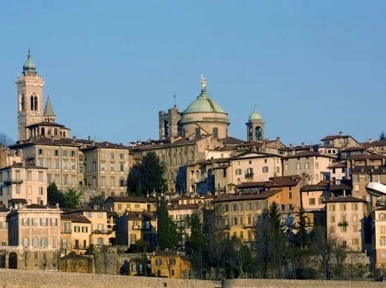 fiori Bergamo