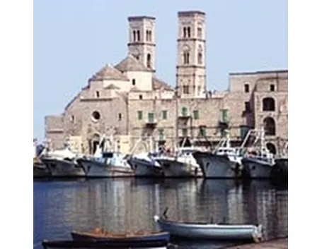 fiori Molfetta