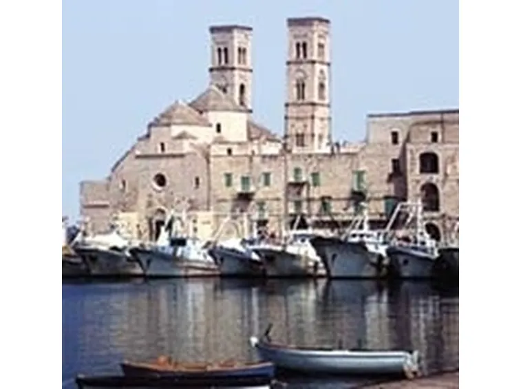 fiori Molfetta