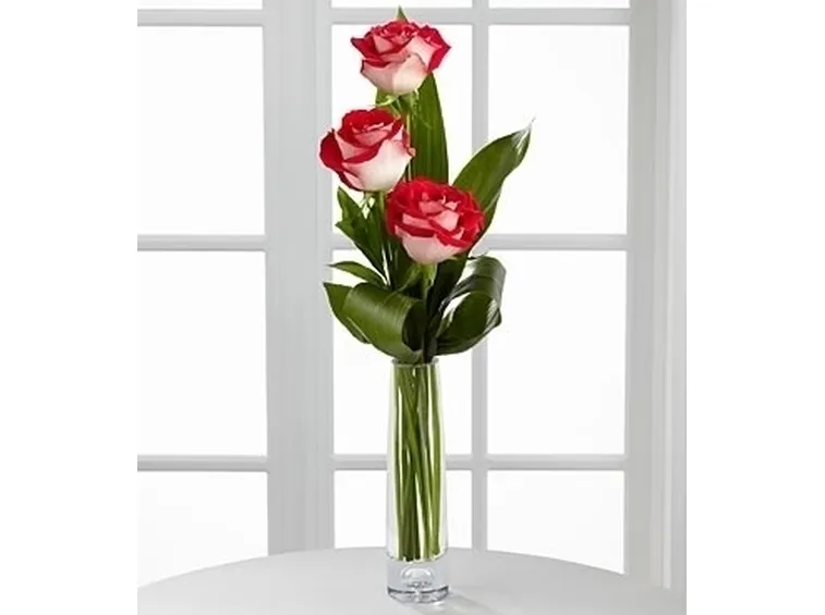 fiori online Latina