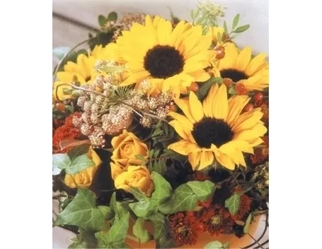 fiori per mi dispiace