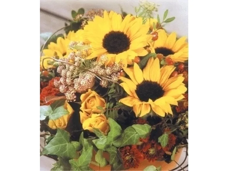 fiori per mi dispiace