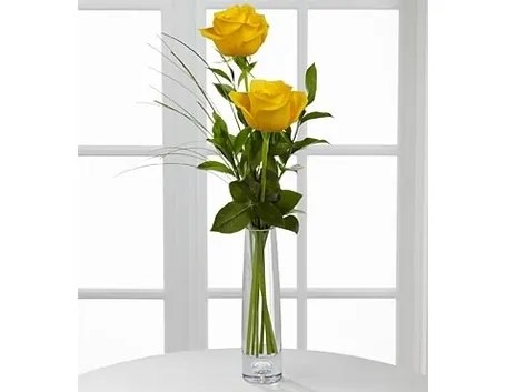 fiori Savona