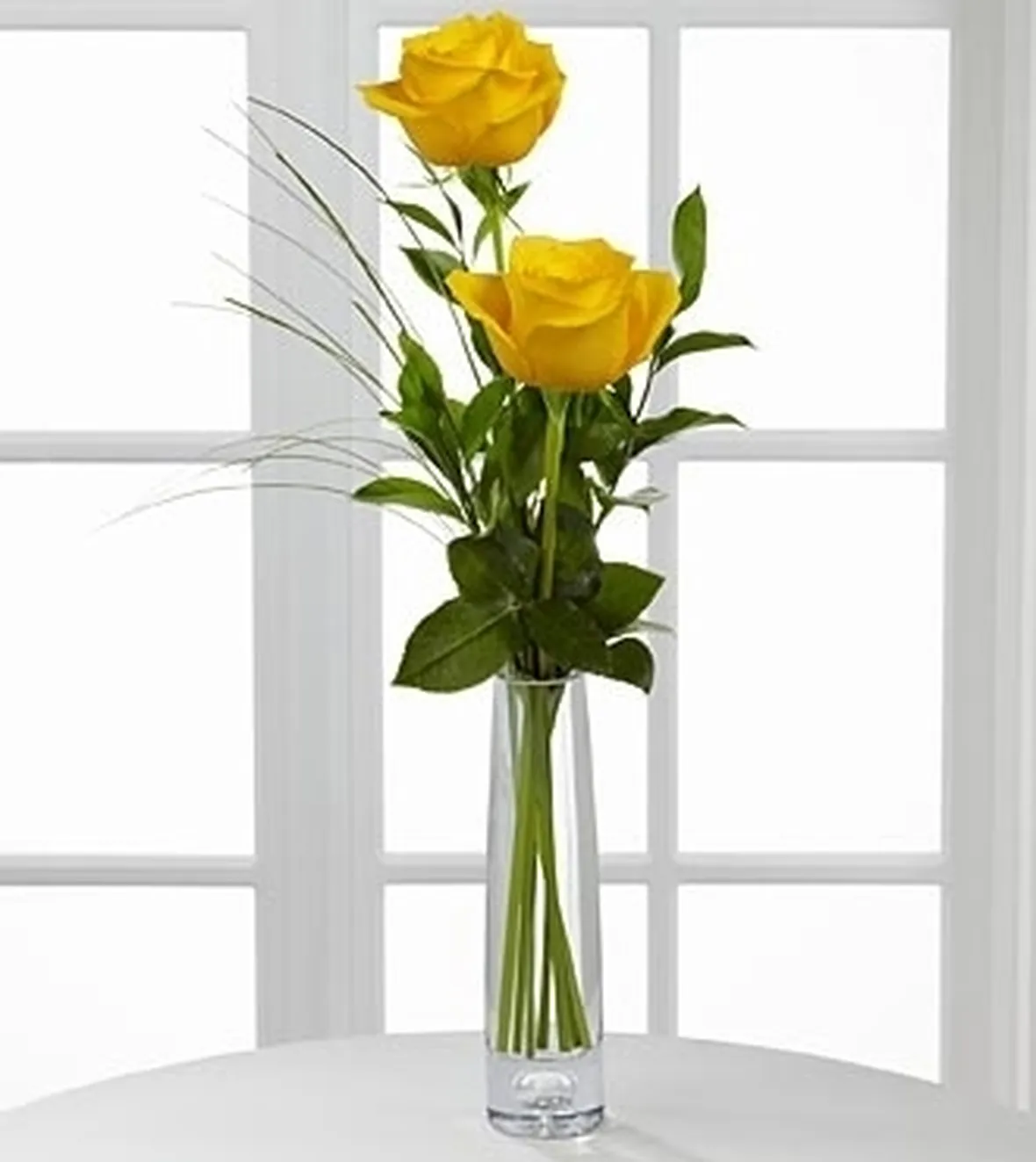 fiori Savona