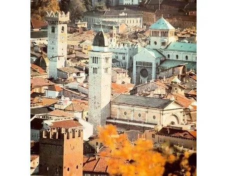 fiori Trento