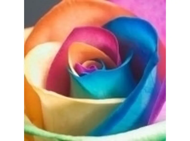 invio fiori per guarigioni
