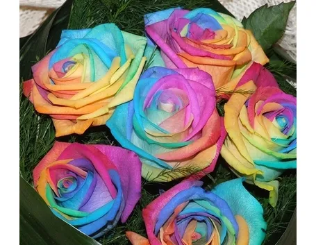 invio fiori per laurea e diploma-1