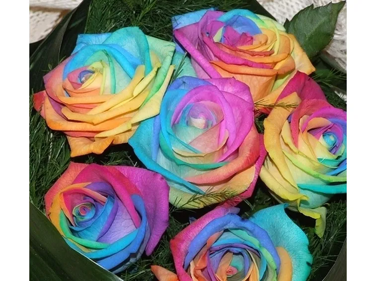 invio fiori per laurea e diploma-1