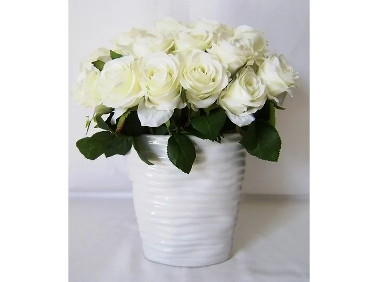 Domanda: cos'hanno le mie rose?