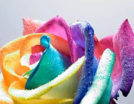 invio fiori per nascita