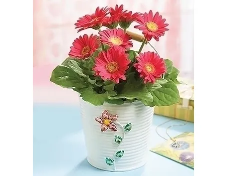 fiori per battesimo