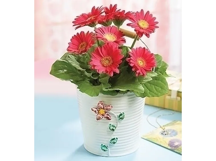 fiori per battesimo
