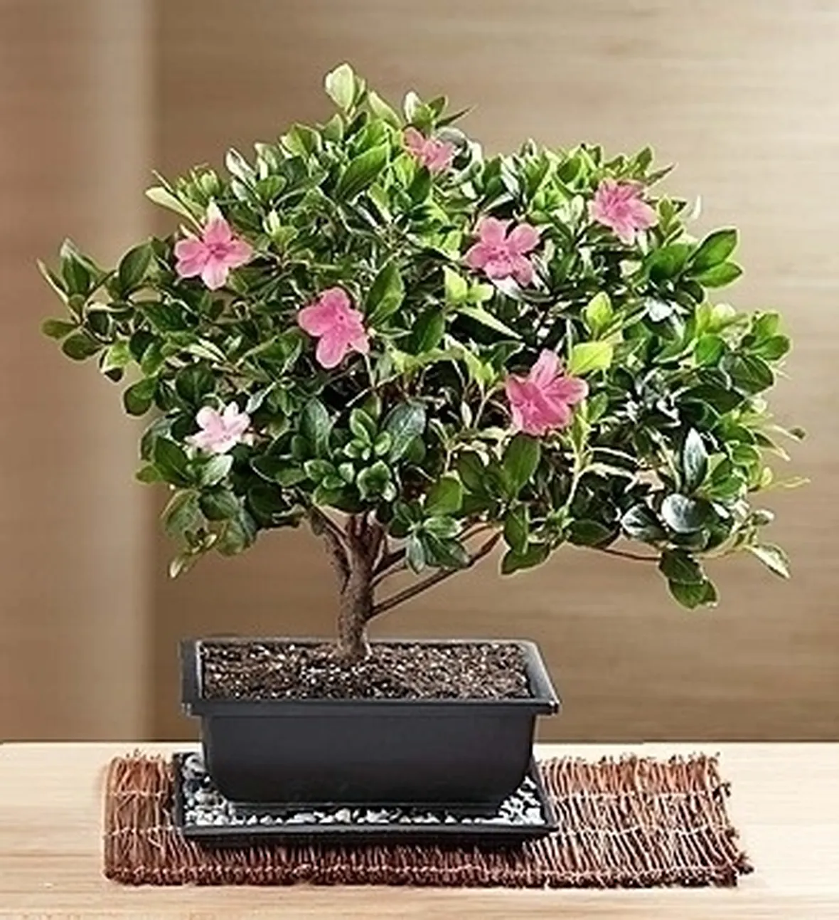 invio fiori per matrimonio
