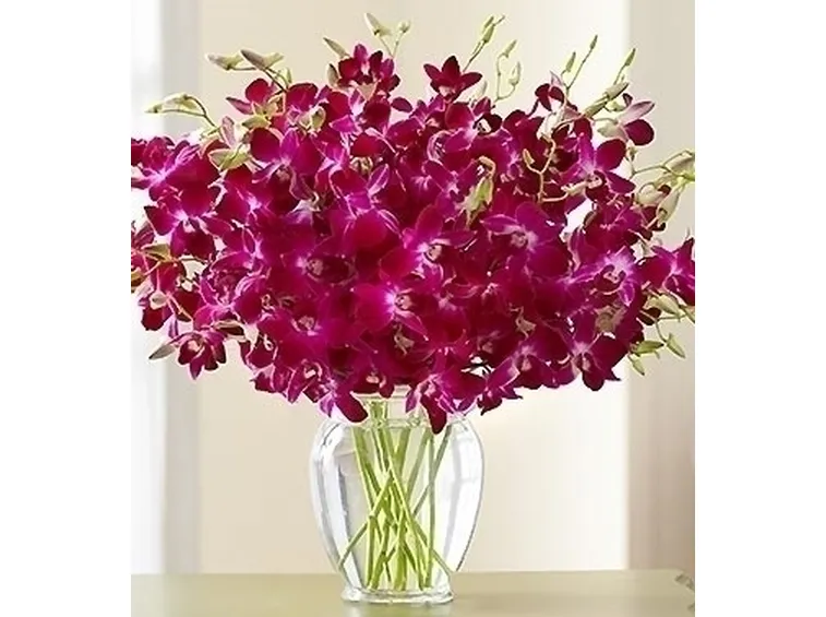 invio fiori per mi dispiace