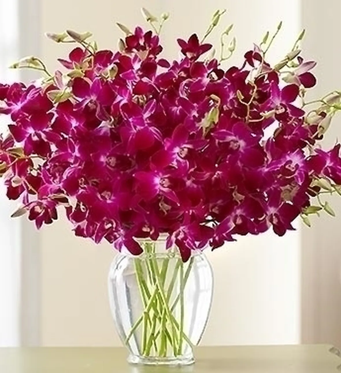 invio fiori per mi dispiace