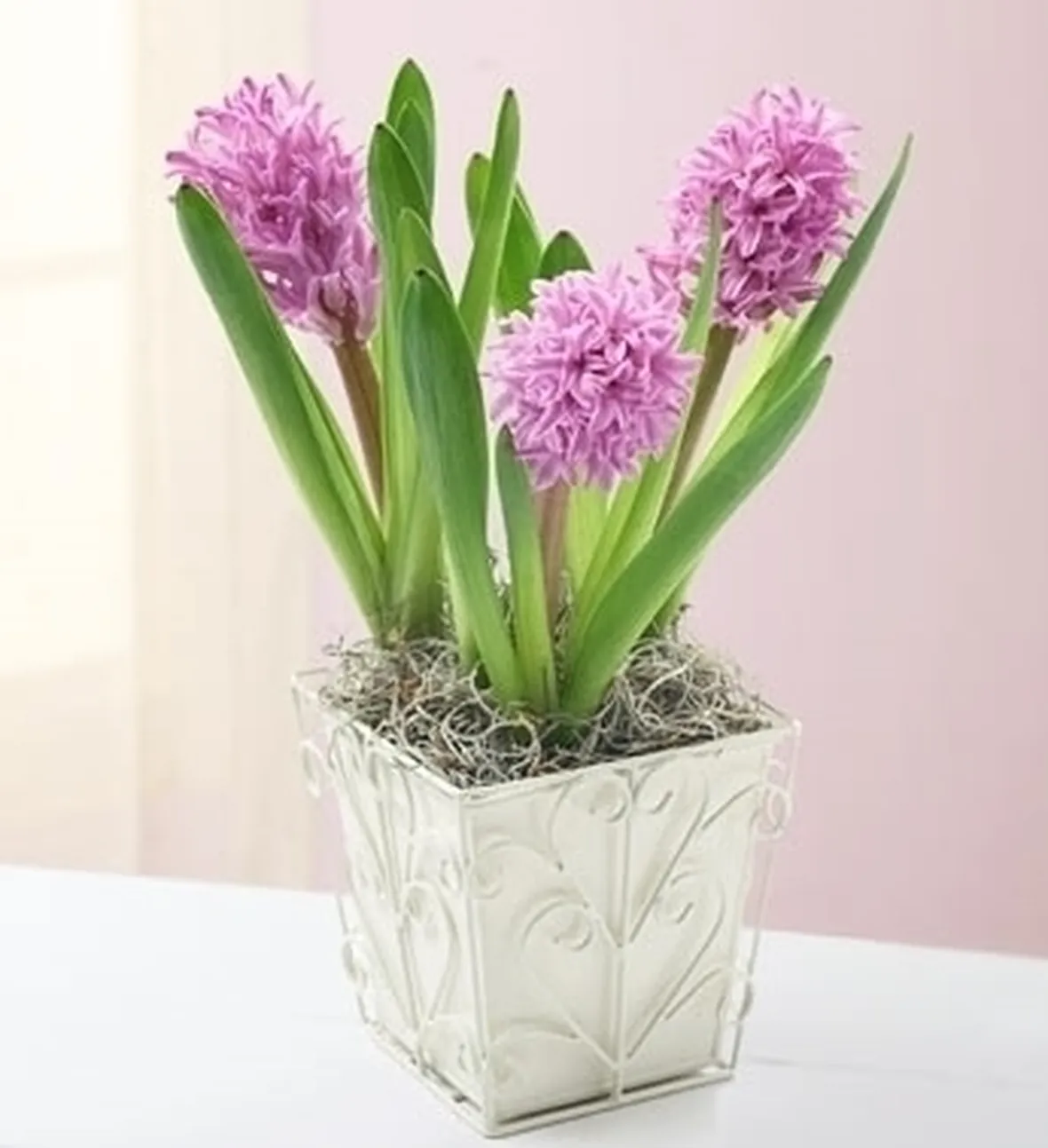 invio fiori per natale buon anno