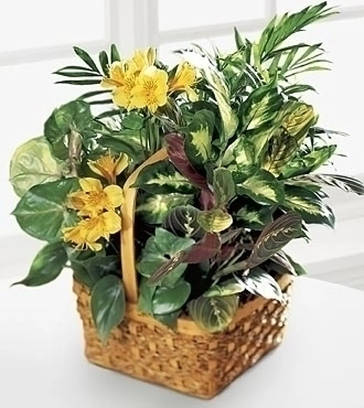 spedizione fiori Firenze