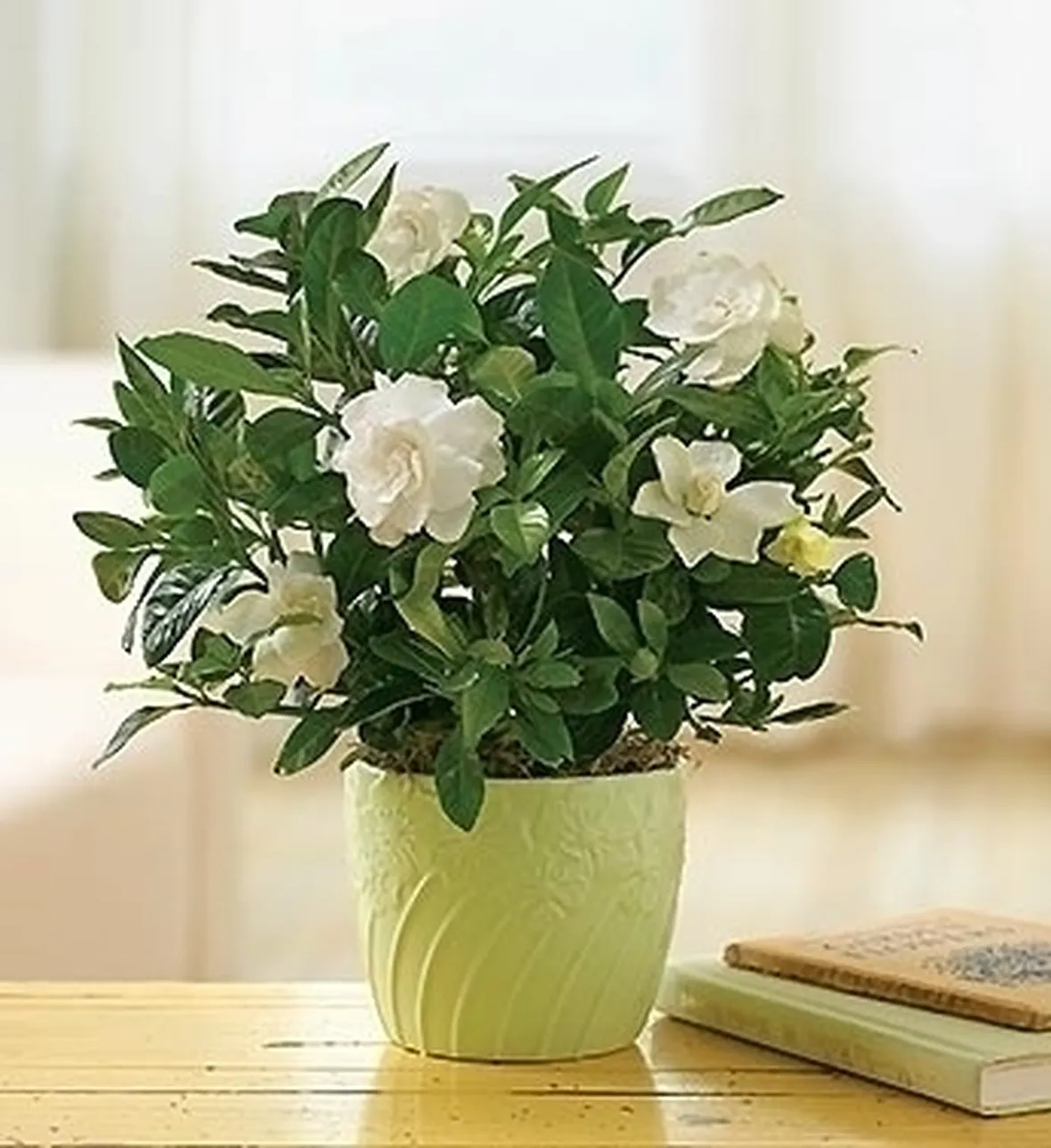 spedizione fiori Milano