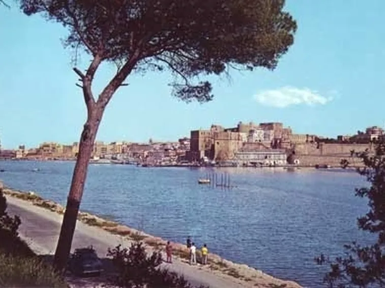 consegna fiori a Brindisi