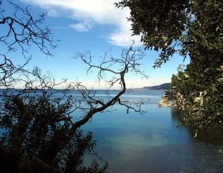 consegna fiori a domicilio Trieste