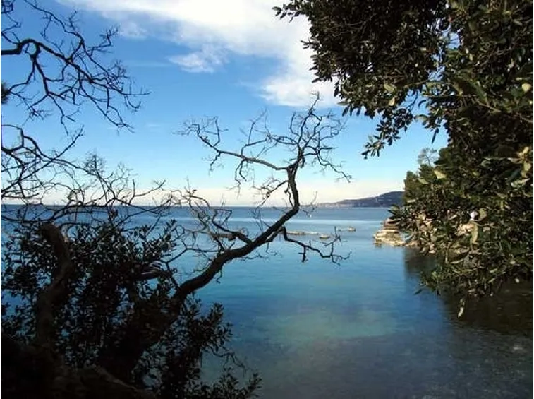 consegna fiori a domicilio Trieste