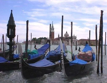 consegna fiori a domicilio Venezia