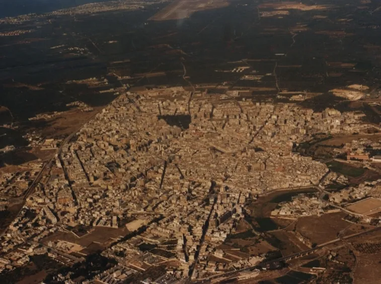consegna fiori Bitonto