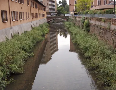 consegna fiori Gallarate