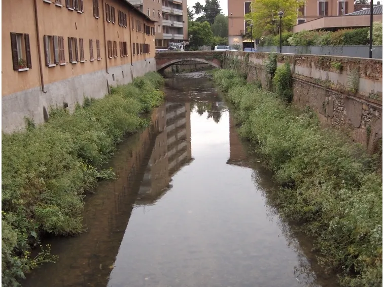 consegna fiori Gallarate