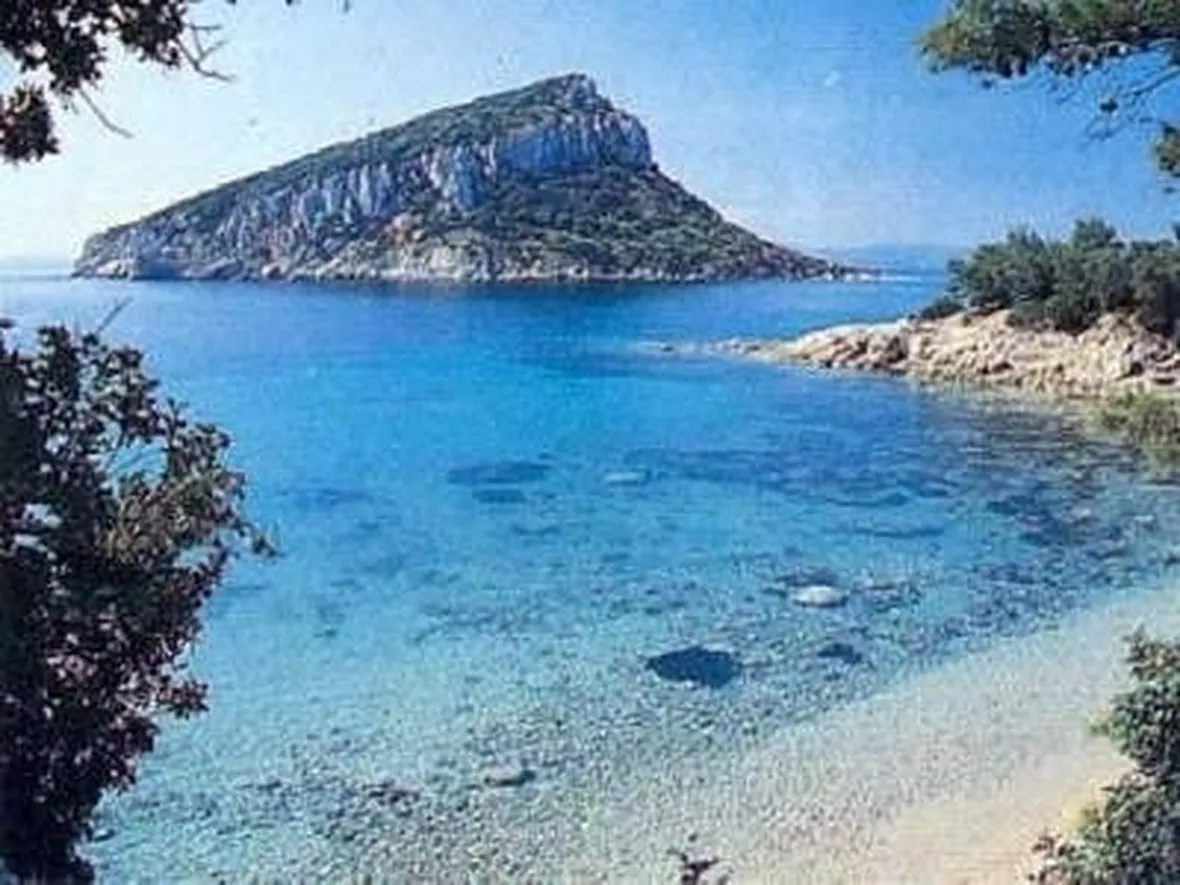 consegna fiori Olbia
