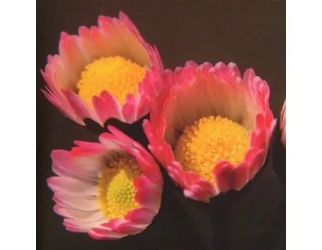 consegna fiori per anniversario-2
